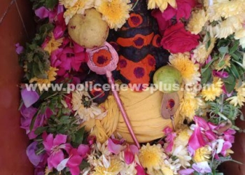 கோயில்களில்  தை மாத சிறப்பு பூஜைகள்