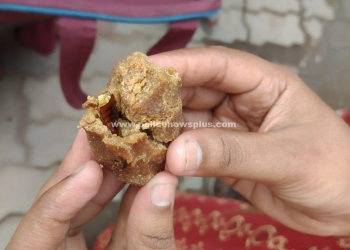 கொழுக்கட்டையில் கரப்பான் பூச்சி மதுரையில் பரபரப்பு