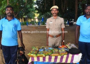 புகையிலைப் பொருட்களுக்கு எதிரான தீவிர சோதனை