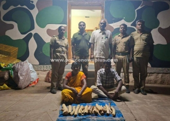 5 கிலோ சந்தன கட்டை பறிமுதல்