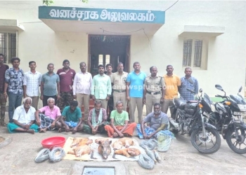 காட்டு பன்றியை வேட்டையாடிய 6 பேர் கைது